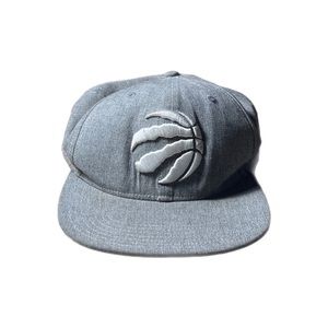 TORONTO RAPTORS FITTED HAT🔥‼️